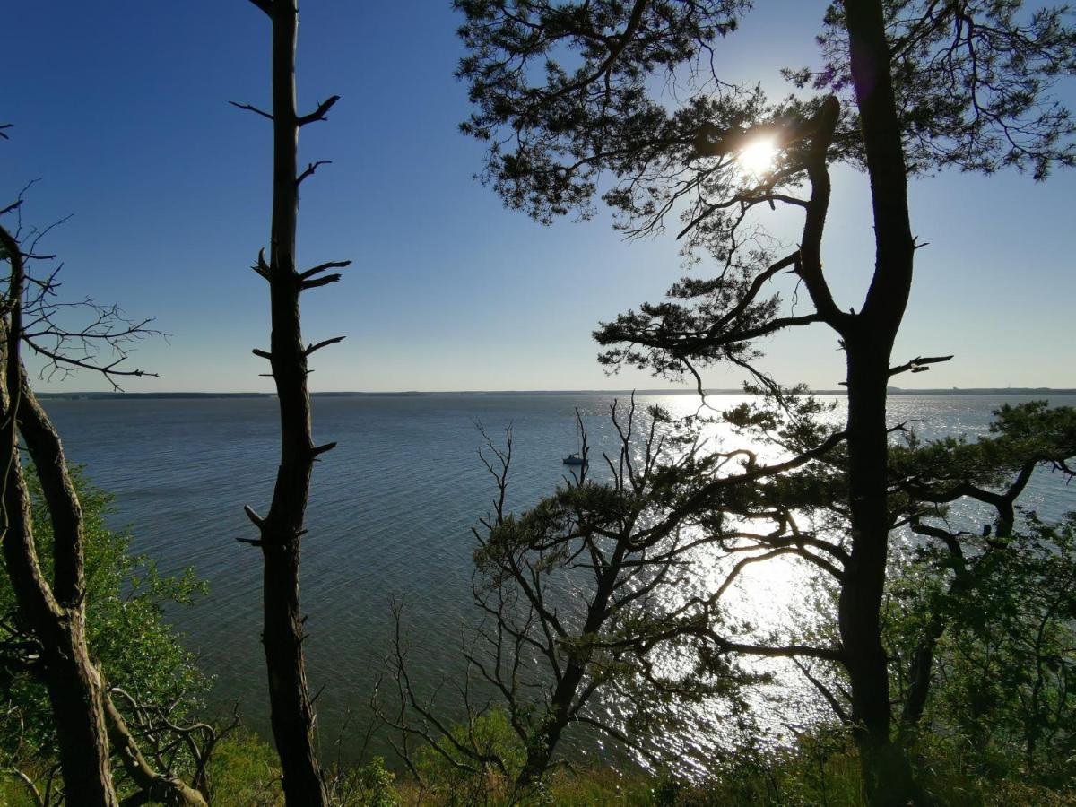 Apartment Waldblick Vom Naturhof Usedom Bannemin Eksteriør bilde