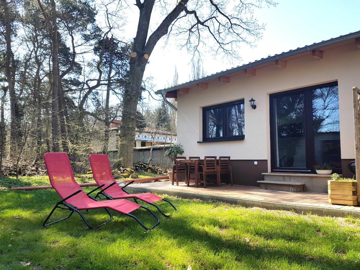 Apartment Waldblick Vom Naturhof Usedom Bannemin Eksteriør bilde